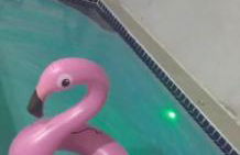 Recanto das Águias - Foto 7