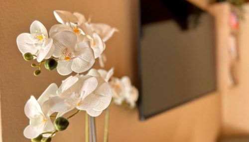 CASA GIO.ANNA - Foto 4