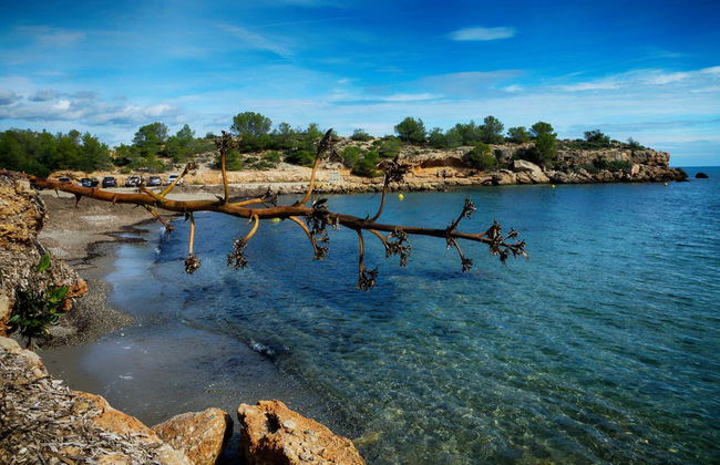 La Ametlla de Mar Kayak Tour - Photo 2