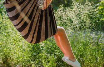 The Blue Jay at Zen Zion - Photo 12