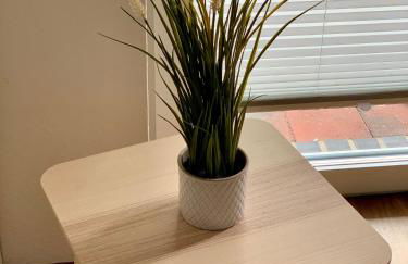 Ferienpark Thüle - Foto 18