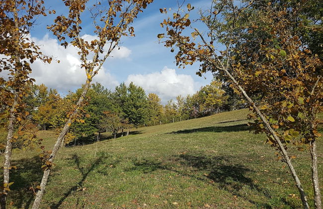 Locanda Colle Cerqueto - Photo 22