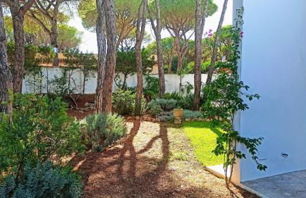 Diseño y luz entre los pinos - Foto 54