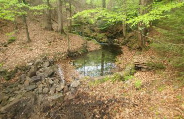 Domki Brenna Leśnica - Foto 33