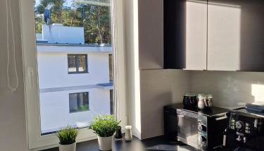 M&M Apartament Pine Tree House Zielona 3A - Foto 5