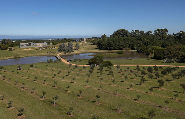 La Picarona - Foto 68