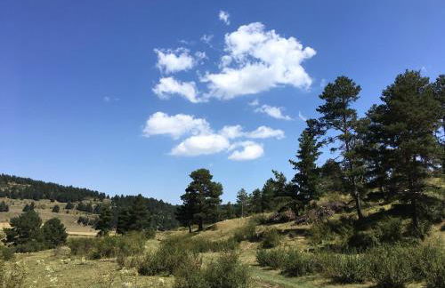 Casa rural La Sabina - Foto 41