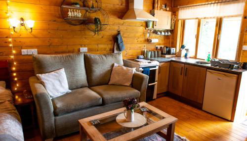Cherry Cabin - Little Log Cabin in Wales - Foto 4