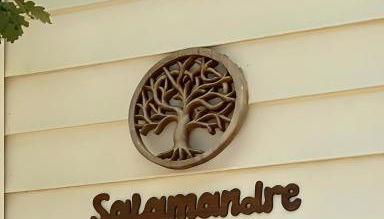 Salamandre - Foto 2