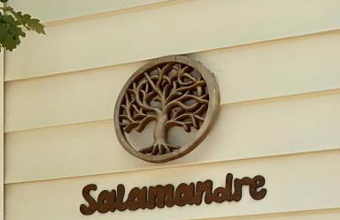 Salamandre - Foto 2