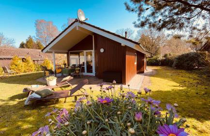 Ferienhaus mit drei Schlafzimmern Nähe Freizeitpark Schloss Dankern Dankernsee - Foto 8