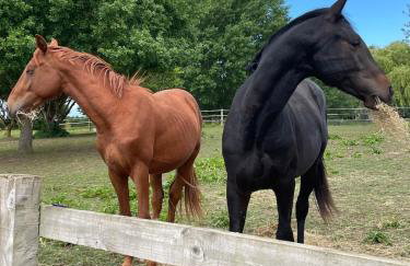 Rural Lake View in Welford upon Avon - Foto 26