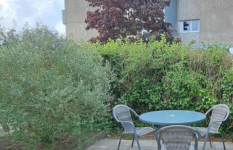 1 Zimmer Apartment Küche Bad an der Nordsee - Foto 11