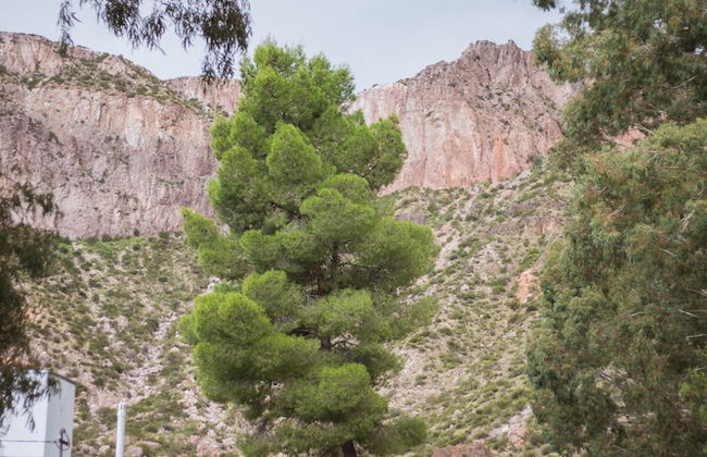 Bosque Divino Cabañas & Suites - Foto 44