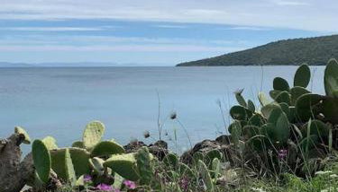 Niki's House - Foto 3