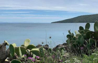 Niki's House - Foto 3