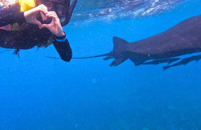 Nusa Lembongan Snorkeling - Photo 1