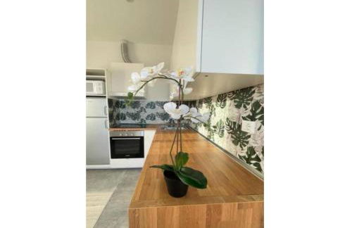 Comodissimo Gaslini e mare - Foto 23