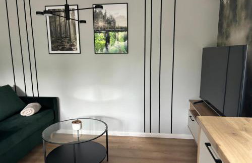 Dach Pod Sową Apartament GS - Foto 6