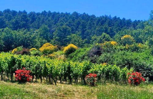 Joli mas "Rêve de lune" en plein coeur du Luberon - Foto 64