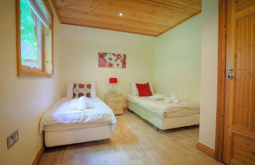 Fern Gully Lodge with Hot Tub - Spa Resort - Devon - Foto 3