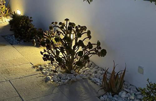 Fonte dos Pássaros - Photo 26