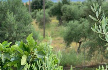 Anastasios Olive Garden Apartments - Foto 19