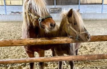 Ferienhof Riekeshof - Foto 13