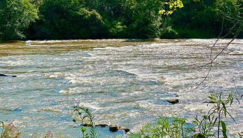 Riverside Relaxer w/Hot Tub+Fire Pit +Wifi & view - Foto 5