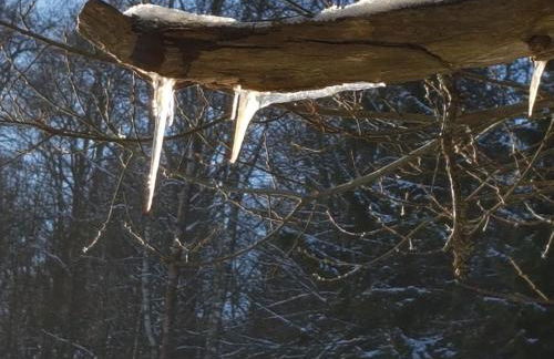 Ferienhaus "Am Gehre" - Foto 46