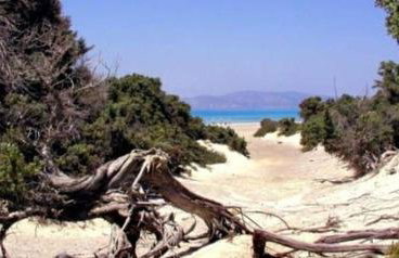 Sun Day Villa - Foto 45