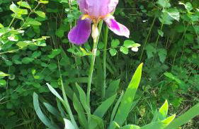 Gîte LES CHANTS DU CREPUSCULE - Foto 57