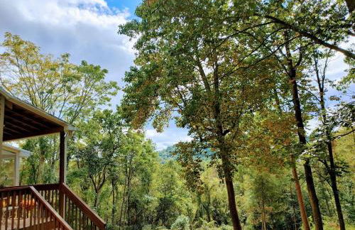 Hidden Gem on Hidden Valley Lane - Photo 59