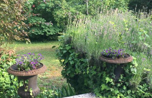 Maison cosy dans village historique - Foto 37