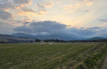 Mike's 3-bedroom Countryside Cottage - Foto 38