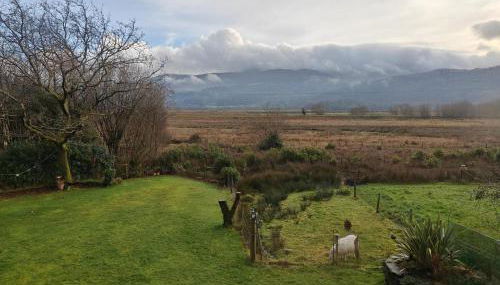 2 Bed in Llanelltyd oc-s34505 - Foto 4, Other