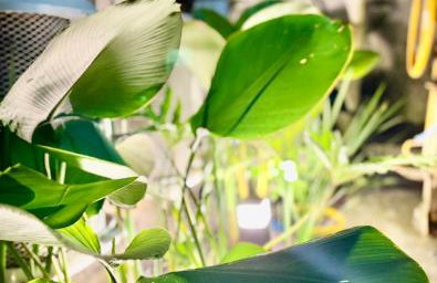 Onda Studios & Pousada - Praia da Enseada Bertioga - Foto 41