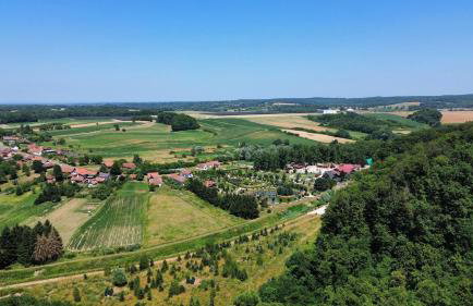 Tri Tresnje & Three Cherries - Foto 27