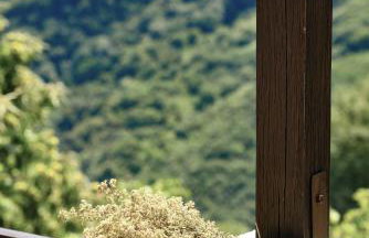 Kissos Experience - Foto 29