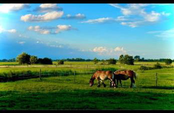 Tiny House nah am Nationalpark - Foto 26
