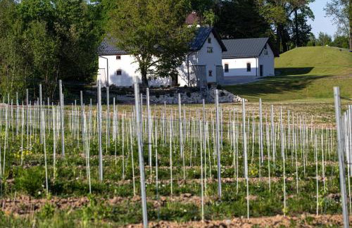 Winnica NOVI - apartamenty - Photo 2