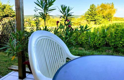 Maison charmante à Saint-Satur avec jardin et terrasse - Foto 12