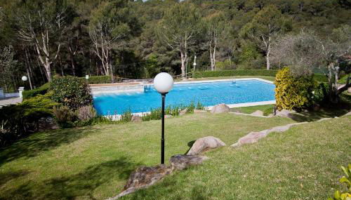 Sol Pins II - Robert - Foto 5, Garden, Squash