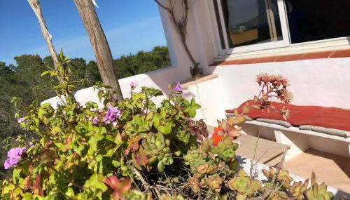 ED REXII ático - Foto 2