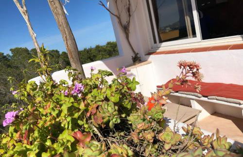 ED REXII ático - Foto 2