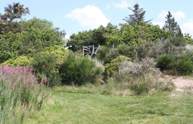 "Pyry" - 400m to the fjord - Foto 6