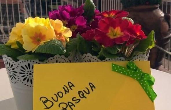 Cameracaffè Centro - Foto 50