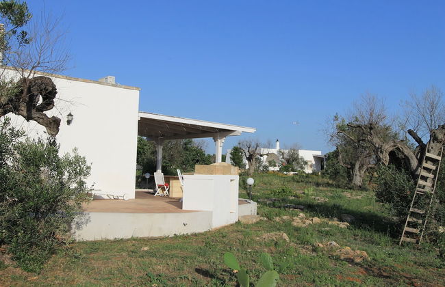 Country Salenthouse - Foto 15