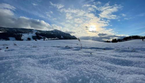 Appartement im Herzen des Allgäu‘s - Photo 4