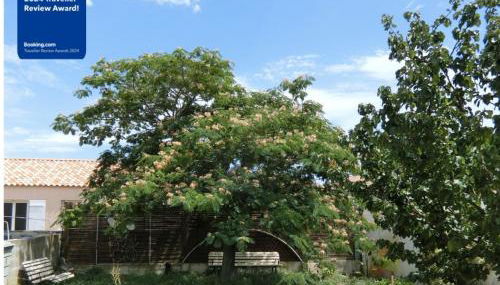 Coquet appartement T2 en pavillon - Foto 4